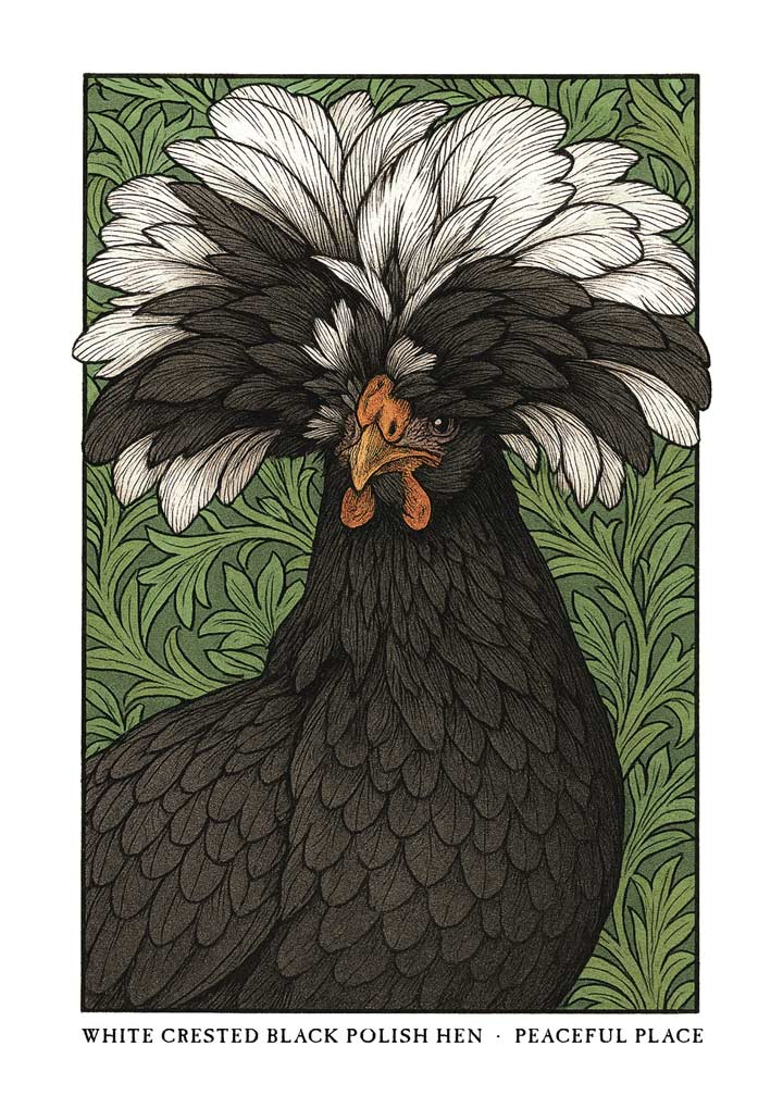 White Crested Black Polish Hen greeting card – William Morris style poultry illustration on blank A7 card with envelope