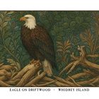 Eagle on Driftwood Whidbey Island greeting card – William Morris style bald eagle illustration on blank A7 card with envelope