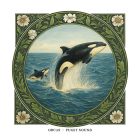 Orcas Puget Sound greeting card – William Morris style marine illustration on blank square card with envelope
