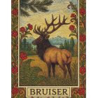 Bruiser the Elk Whidbey Island Greeting Card