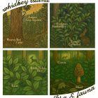 Whidbey Island Flora & Fauna T-Shirt