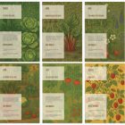 Calendar Illustrations